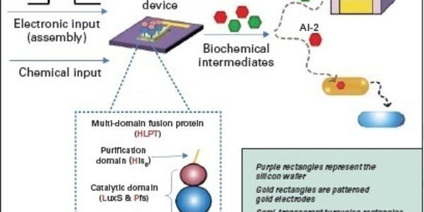 Article teaser image