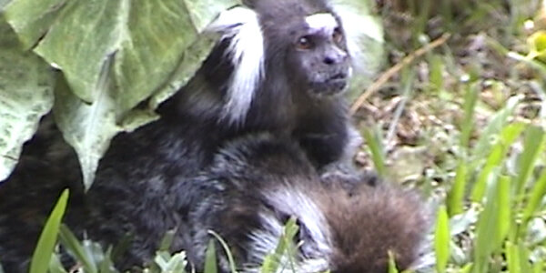 Article teaser image