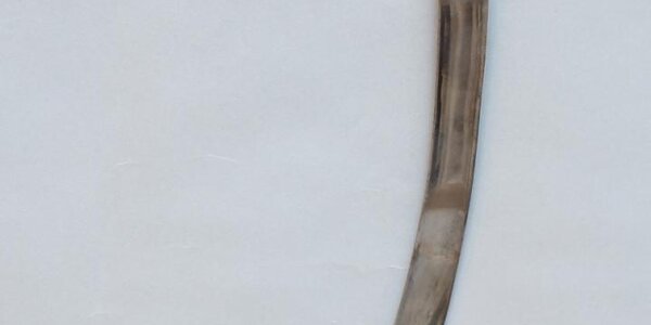 Article teaser image