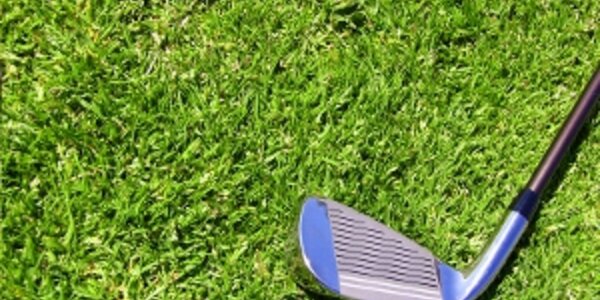 Article teaser image