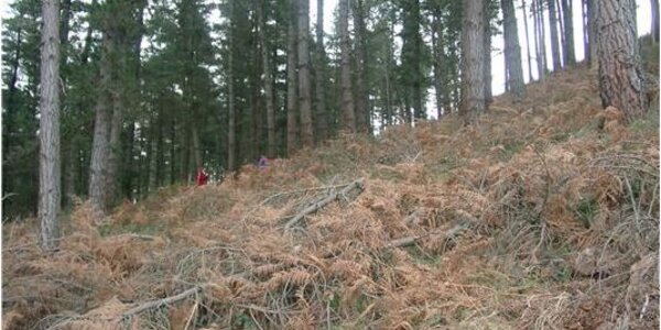 Article teaser image