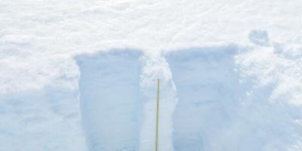 Article teaser image