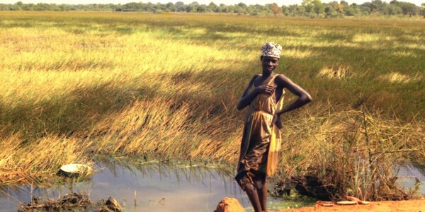 Article teaser image