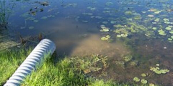 Article teaser image