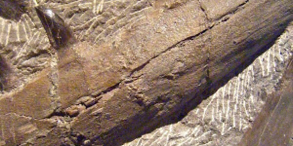 Article teaser image