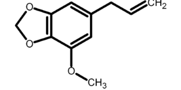 Article teaser image