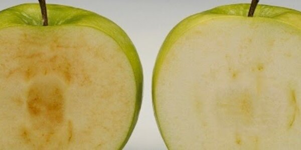 Article teaser image