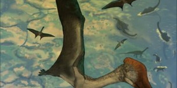 Article teaser image