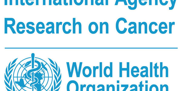 Article teaser image