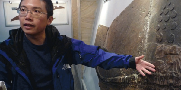 Article teaser image