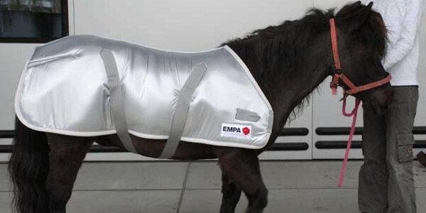 Article teaser image