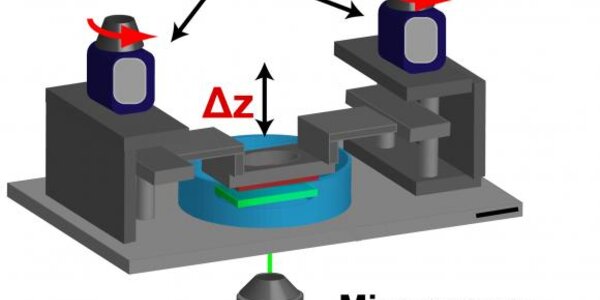 Article teaser image
