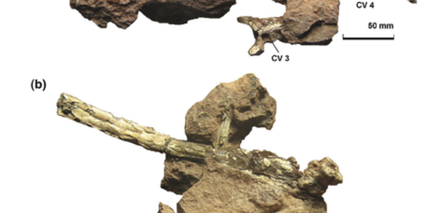 Article teaser image