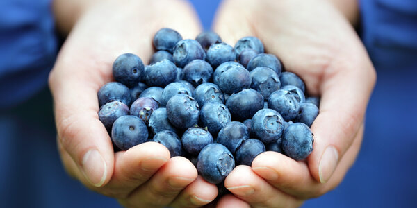 Article teaser image