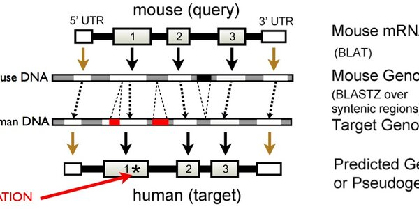 Article teaser image