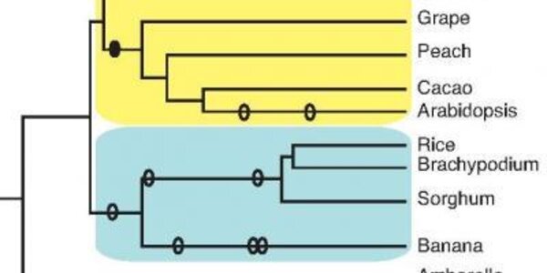 Article teaser image