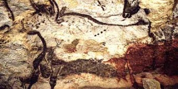 Article teaser image