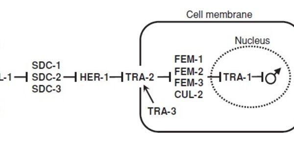 Article teaser image