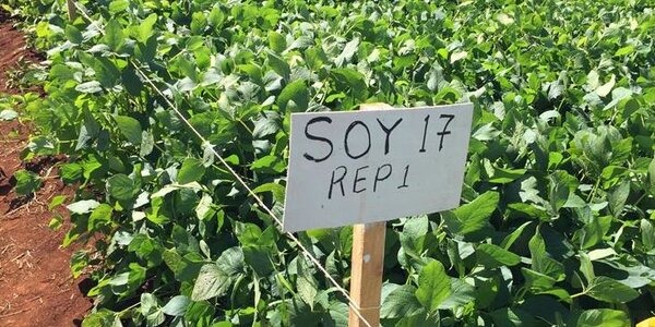 Article teaser image