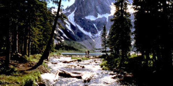 Article teaser image