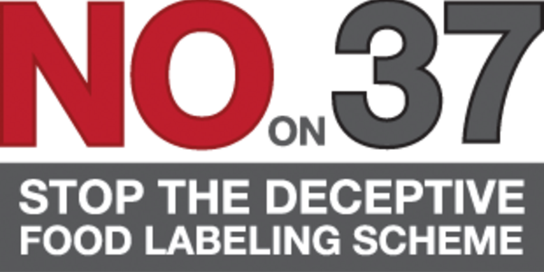 Article teaser image