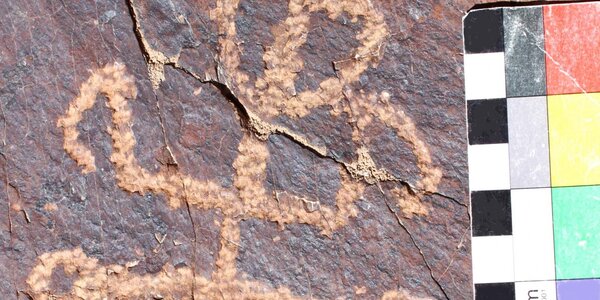 Article teaser image