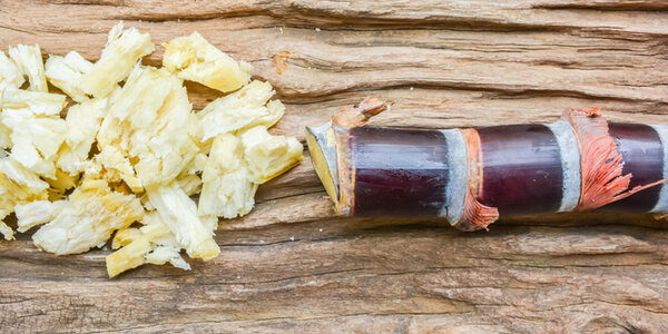 Article teaser image