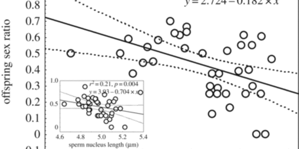 Article teaser image