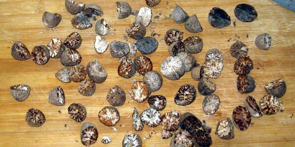 Article teaser image