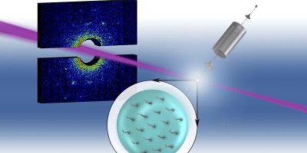 Article teaser image