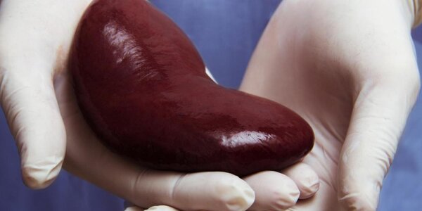 Article teaser image