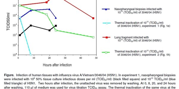Article teaser image