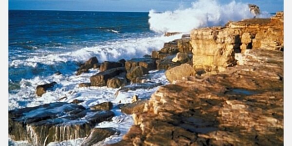 Article teaser image