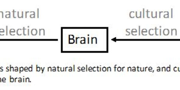 Article teaser image