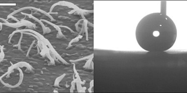 Article teaser image