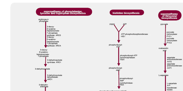 Article teaser image
