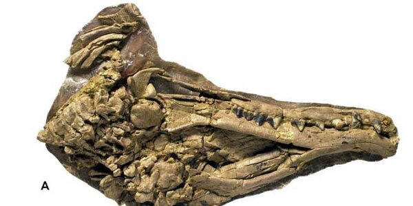 Article teaser image