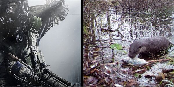 Article teaser image