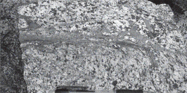 Article teaser image