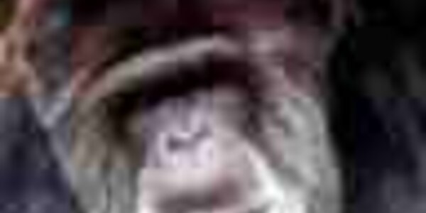 Article teaser image