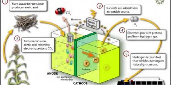 Article teaser image