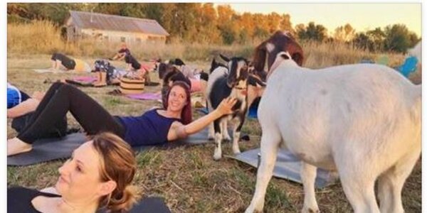 Article teaser image