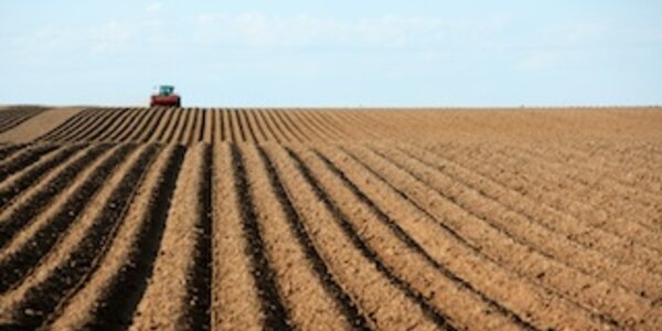 Article teaser image