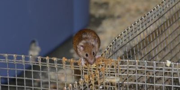 Article teaser image