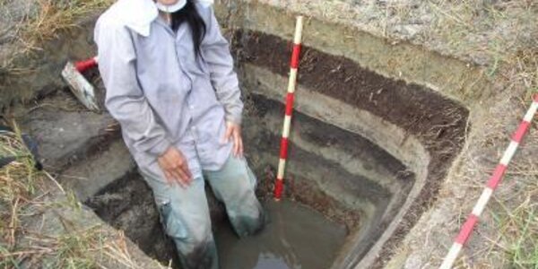 Article teaser image