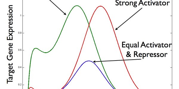 Article teaser image