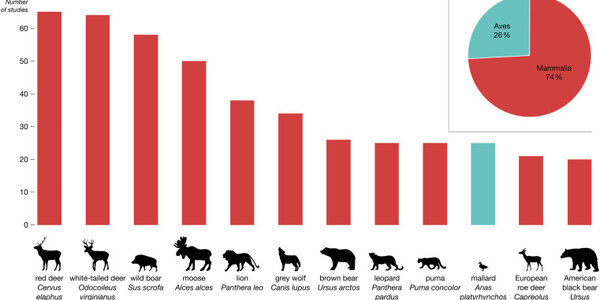 Article teaser image