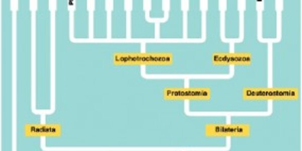 Article teaser image