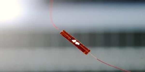 Article teaser image