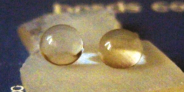 Article teaser image